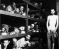 /album/galeria-de-fotos/holocausto-jpg/